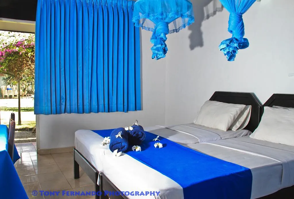 Ceylonica Beach Hotel Negombo Bed & Breakfast