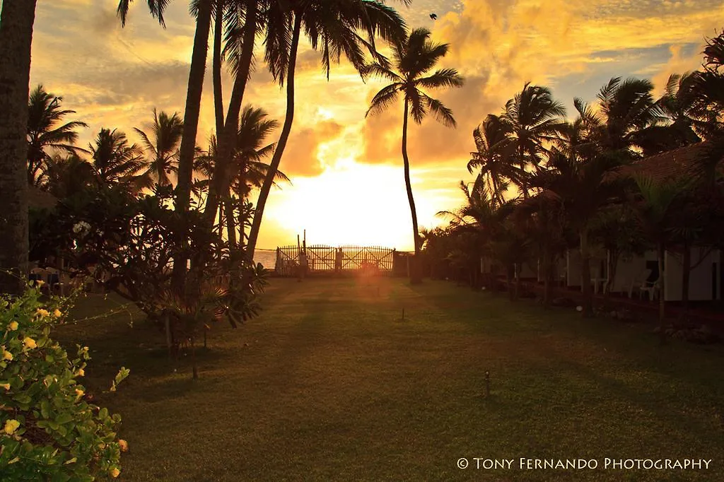 Ceylonica Beach Hotel Negombo